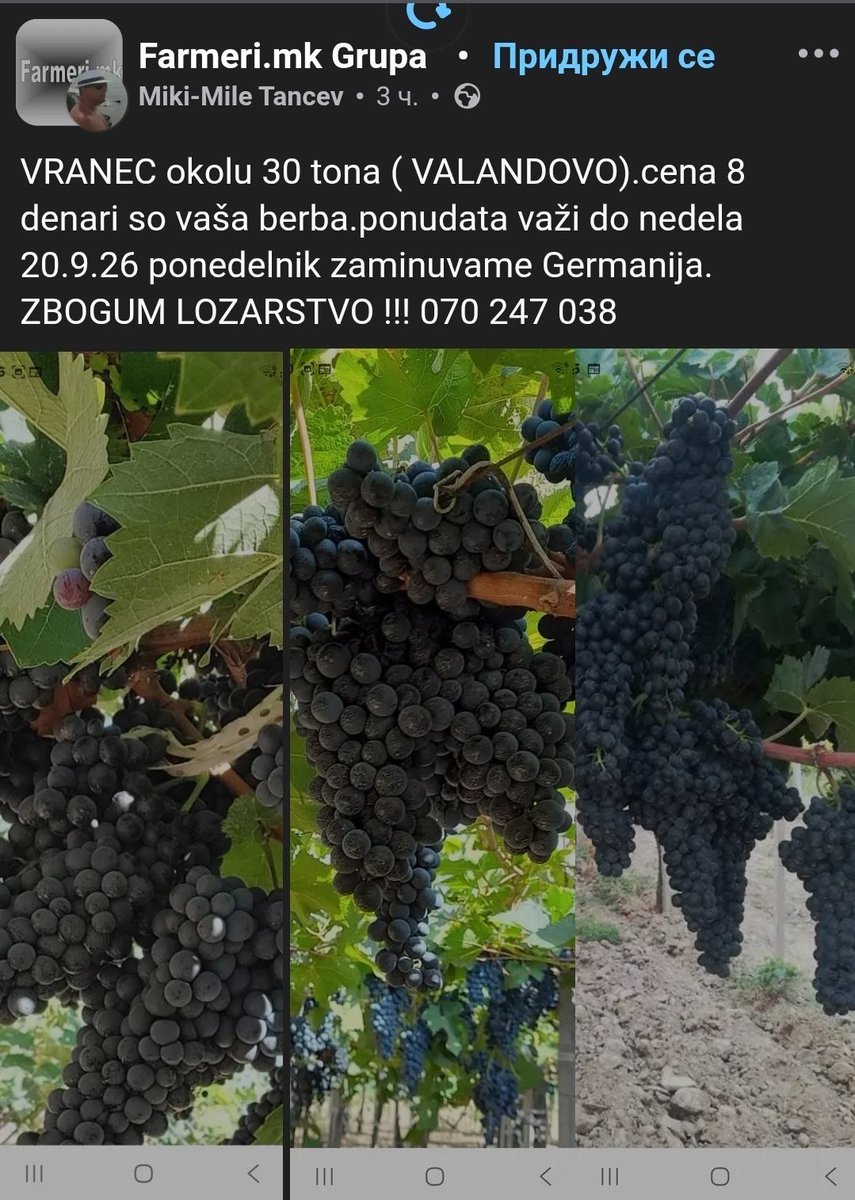 karajovmice's tweet photo. Ова е жално до кое дно стигнавме :( https://t.co/D98dFQz9Hd