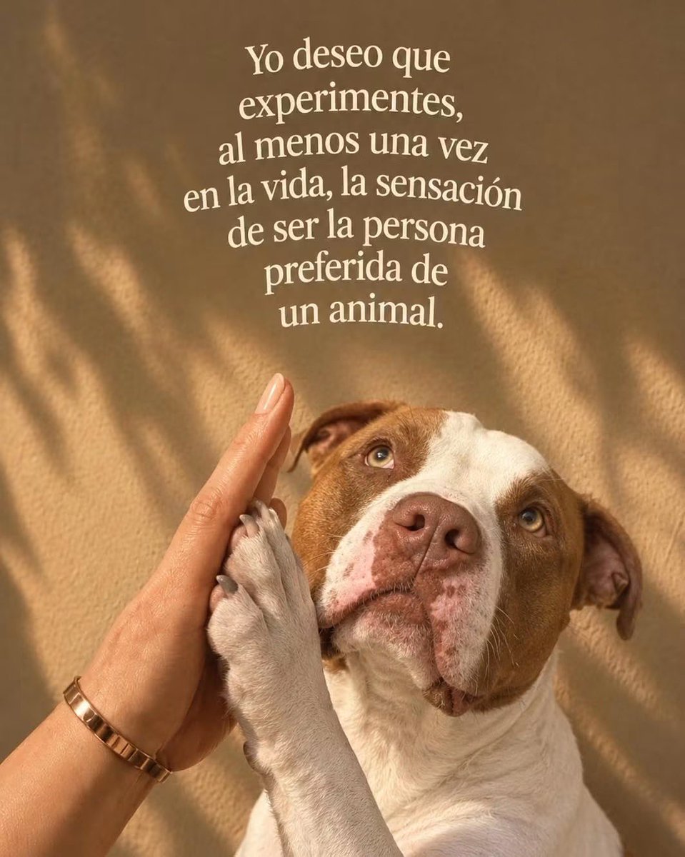 dilocondibujos_'s tweet photo. Se los deseo 🐶❤️ https://t.co/1srFWiEP5k