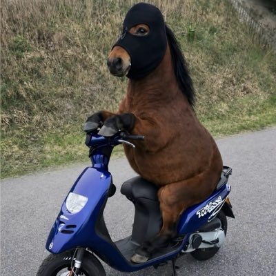 forgottaboutdre's tweet photo. #NewProfilePic https://t.co/CxKmUcznrO