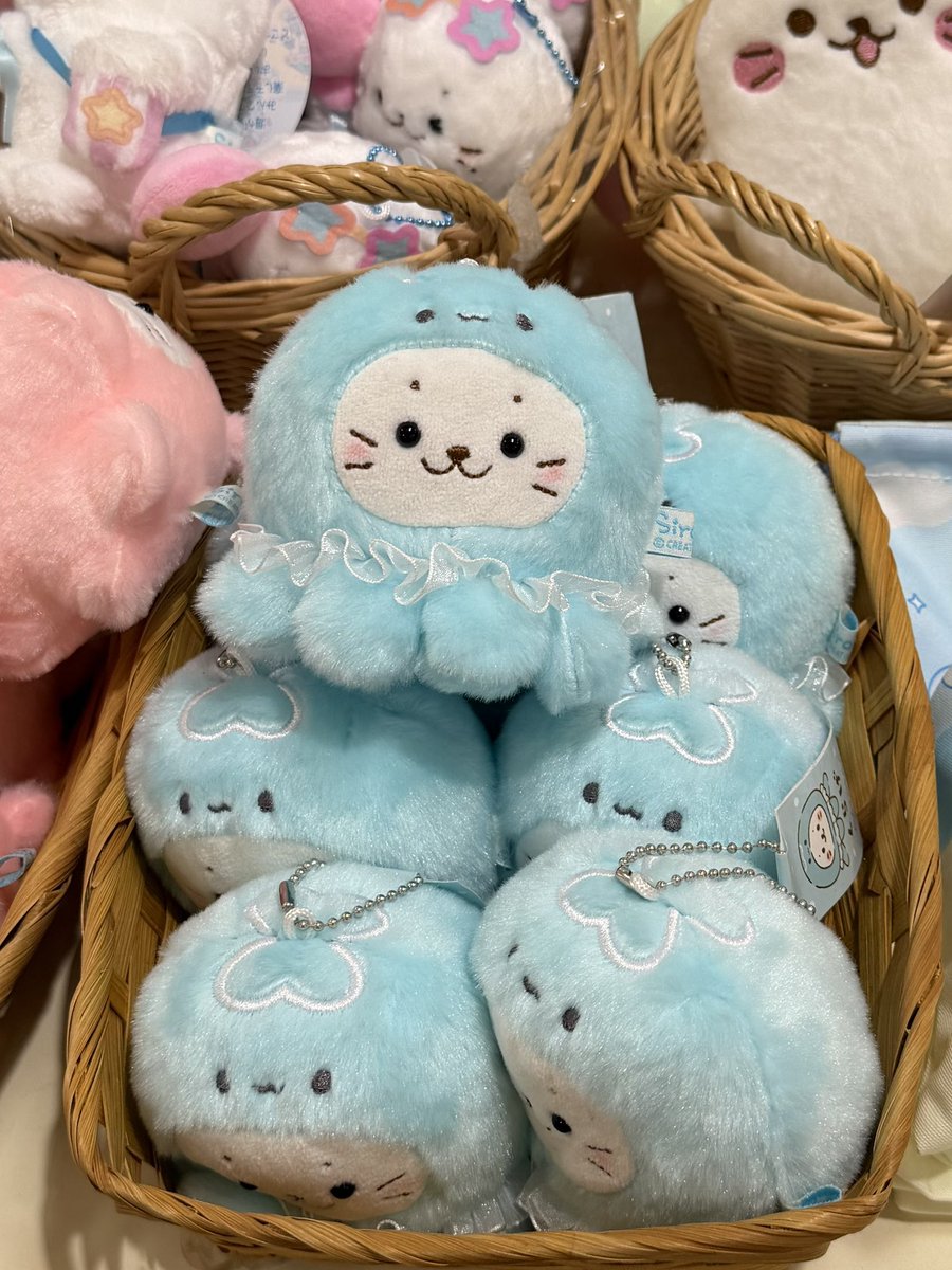 ritttsz's tweet photo. 얘 진짜 졸귀찌 ... 🪼🩵
자기 데려가달라고 바라보고잇잔아 당장 매입 https://t.co/UopDLsOQTL