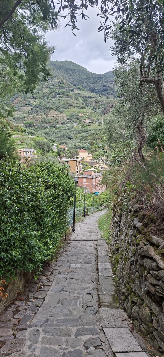 MaryAllidine's tweet photo. We left lovey #monterosso today and arrived in #Lucca It looks like a very pretty city. https://t.co/8mHP6kzOsJ