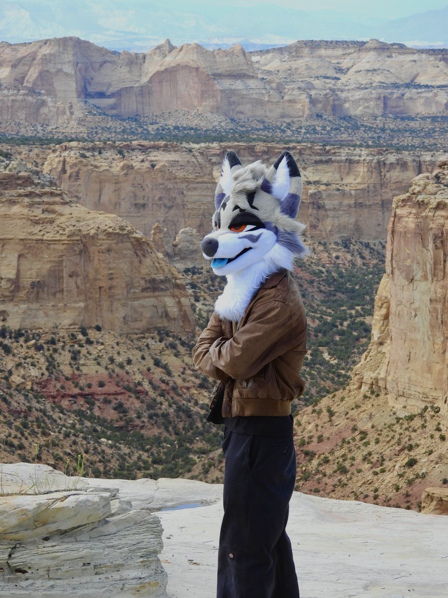_Teruna's tweet photo. Way out west.

Posting a day late on twitter whoopsies! https://t.co/xKHcs16yh8