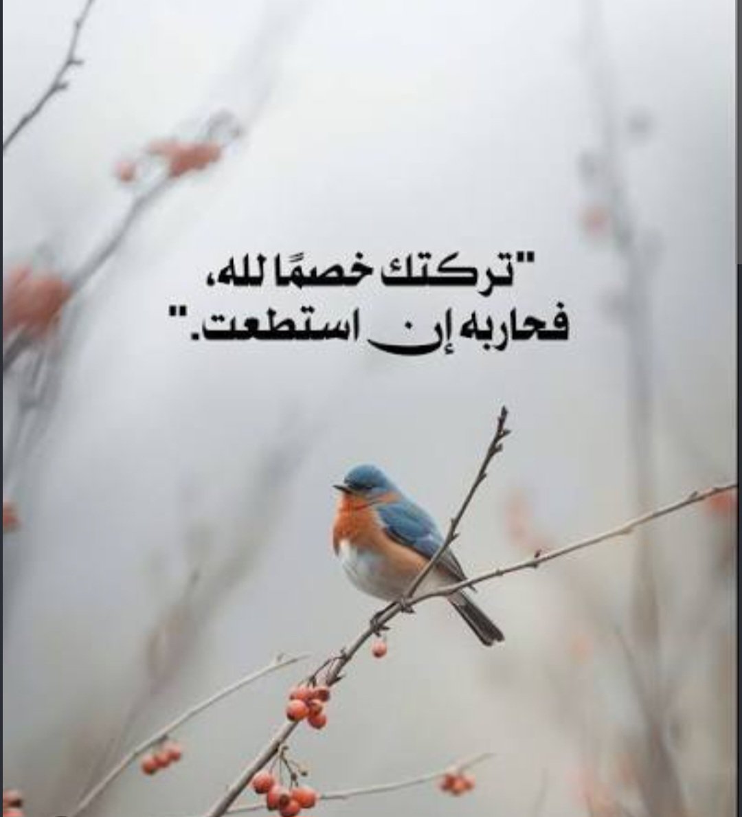 Nanochk63's tweet photo. @Agreed22 https://t.co/joHRjuk3yc