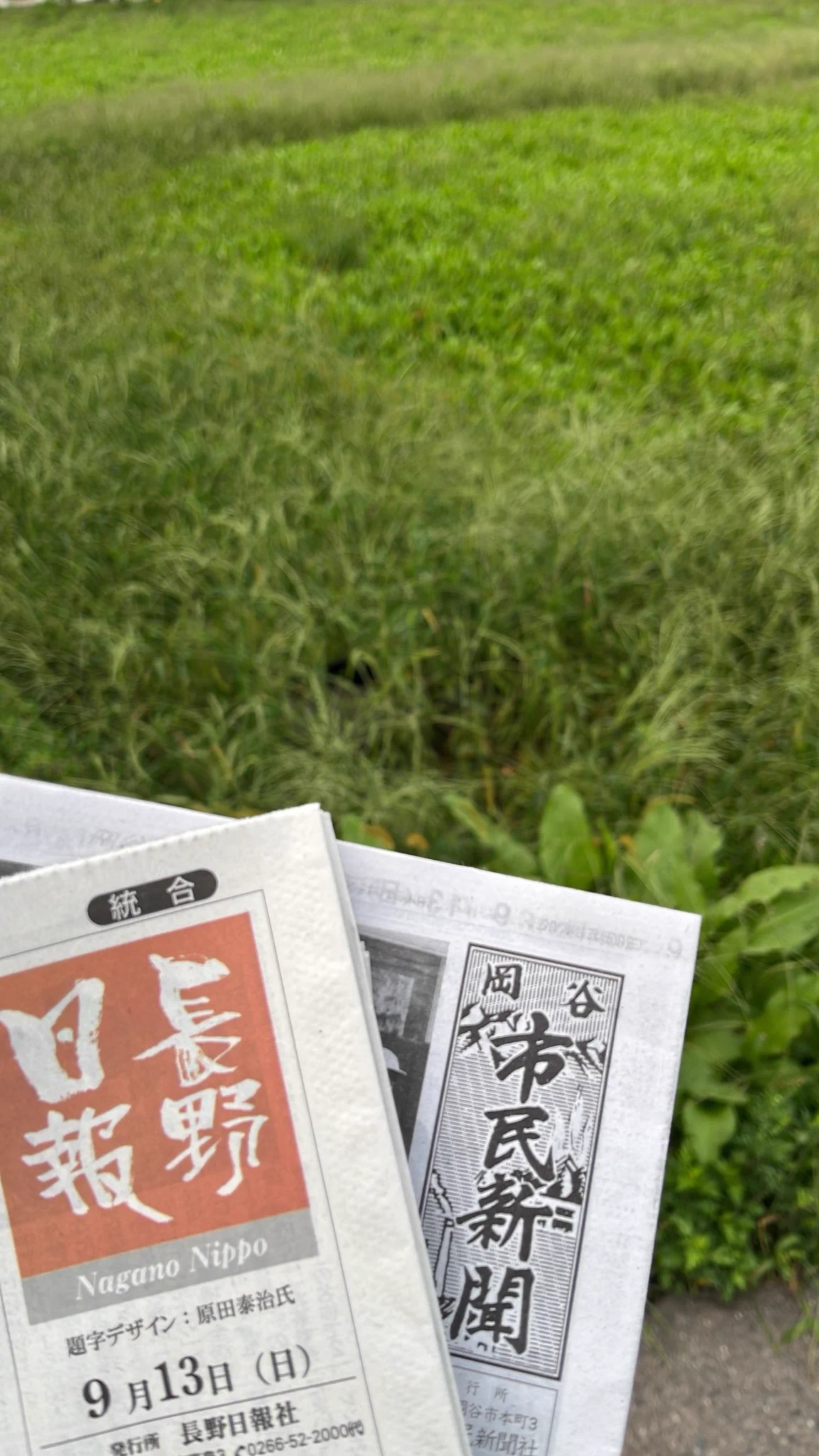 新聞 上田の杉ぴ on X: 