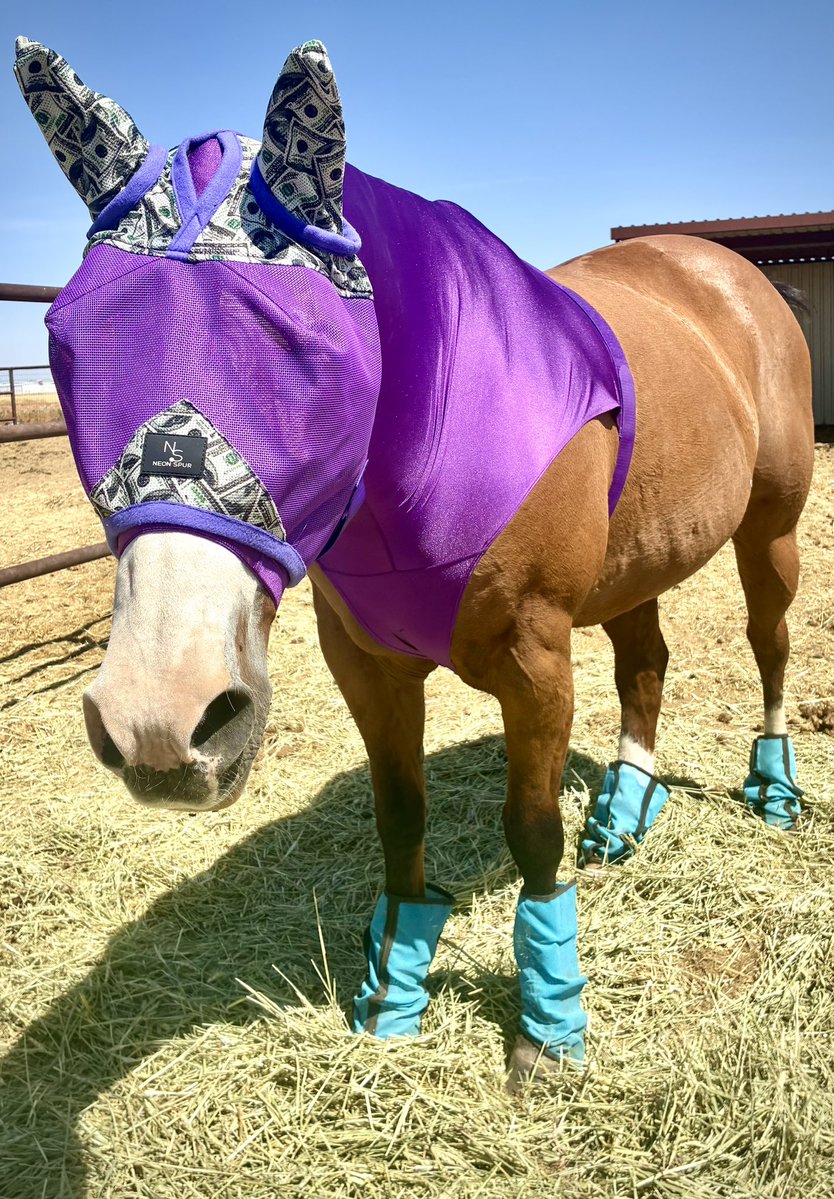MollyKizziah's tweet photo. Today with Patriot🏁 https://t.co/SqeTr9deV3