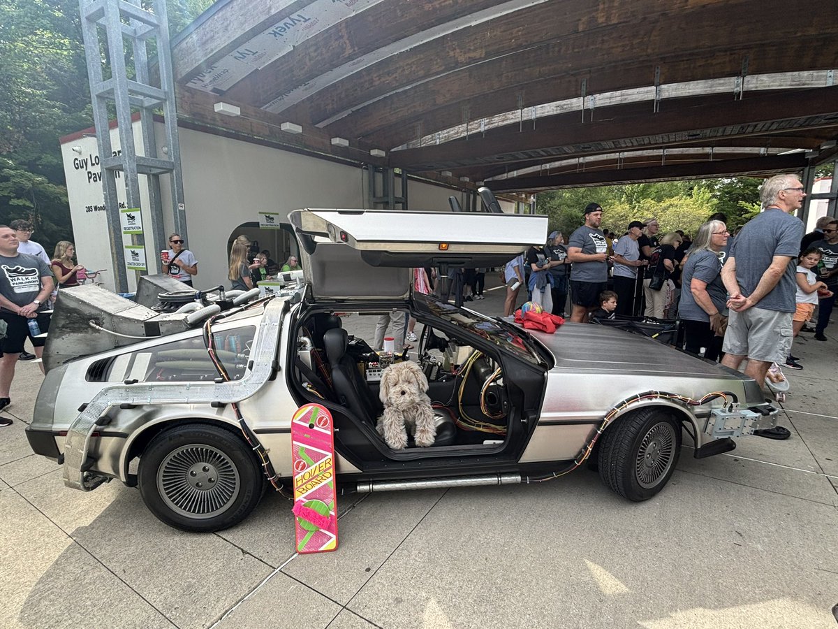 pfragiskatos's tweet photo. At the annual Walk for Parkinson’s at Springbank Gardens today. Great to see a DeLorean there in honour of Michael J. Fox too. Congratulations to the organizers and all teams - funds raised for research have made a difference and will continue to. #ldnont https://t.co/exOPkWLNaL