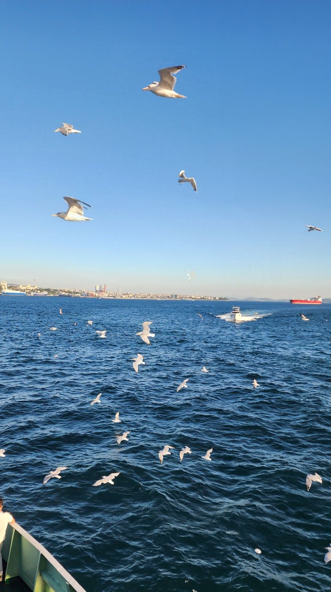 zeynepvrll's tweet photo. “Dünyayı her gün yeni bir gözle gör..” https://t.co/m04KDIxMUz