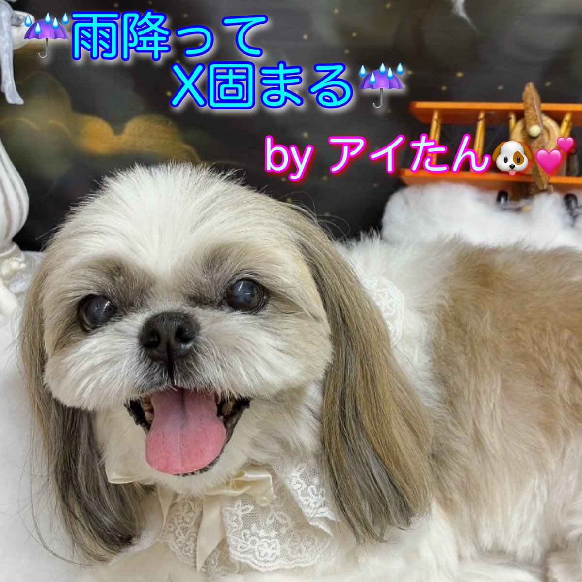 9qsYBEPM1qAgxw2's tweet photo. 🐶『それでは 歌って頂きましょう
　　おと〜しゃん💙で
　　「🚬Xブギ🚬」
🥹🎵開いてフリーズ🧊
　　リプしてフリーズ🧊
　　あげくのはてにはいいねでフリーズ🧊
　　朝から晩までフリーズブギ❄️
　　又々固まるXブギウギ〜⛄️
　　🎤元気ですか〜1.2.3 
　　バカヤロ〜🧣🎵😭 https://t.co/3deIDOynxn