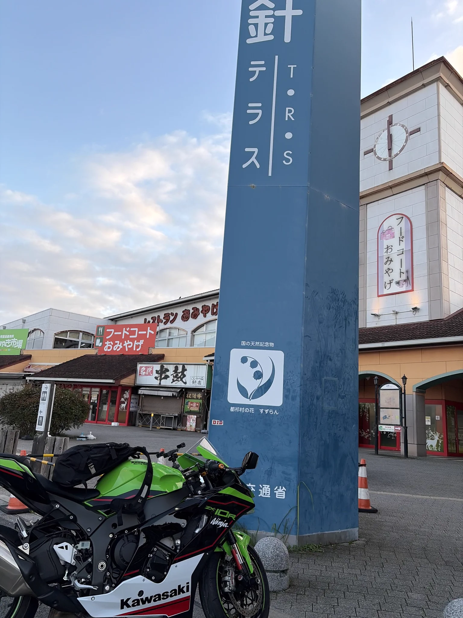 朝日 あき🐨 on X: 