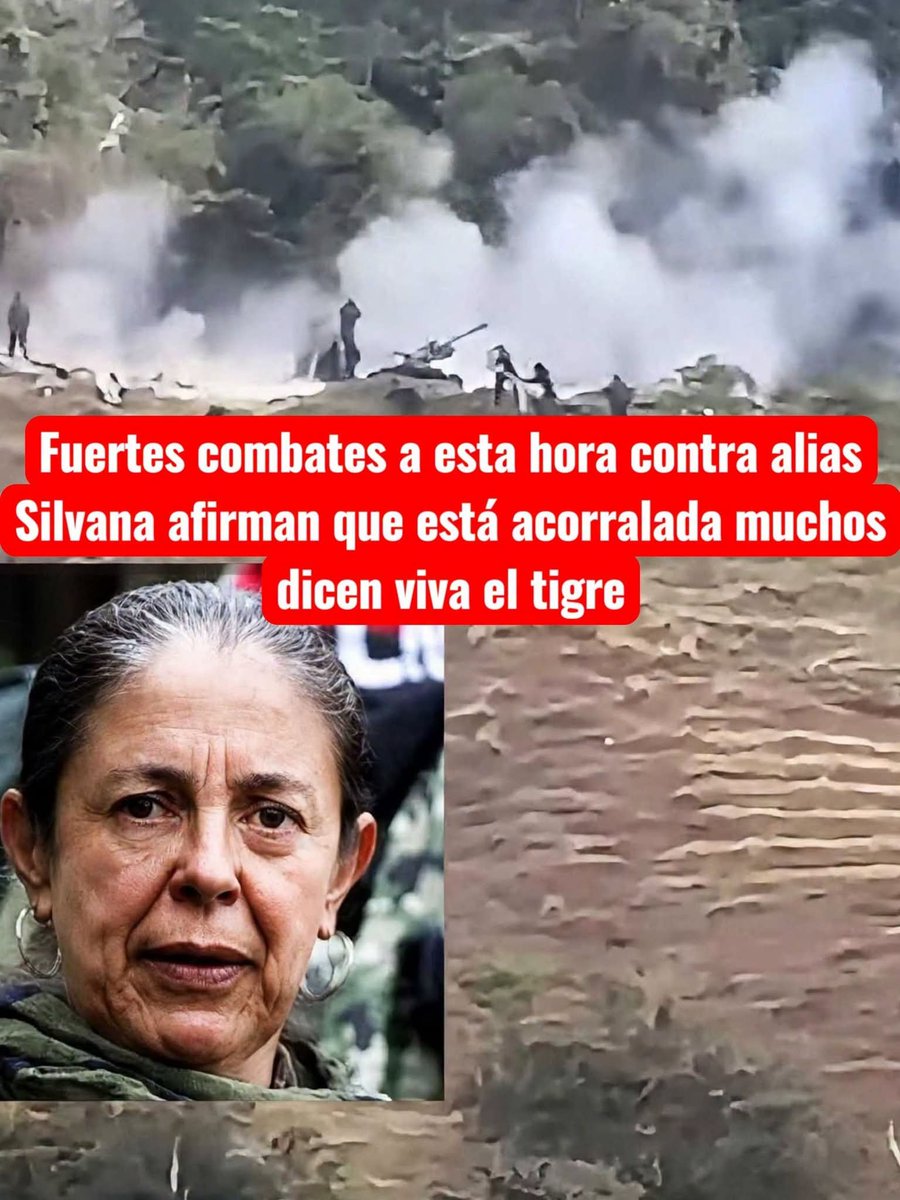 javr66's tweet photo. DURO CON ÉSTAS RATAS HPS. https://t.co/KG5OLp1pSj