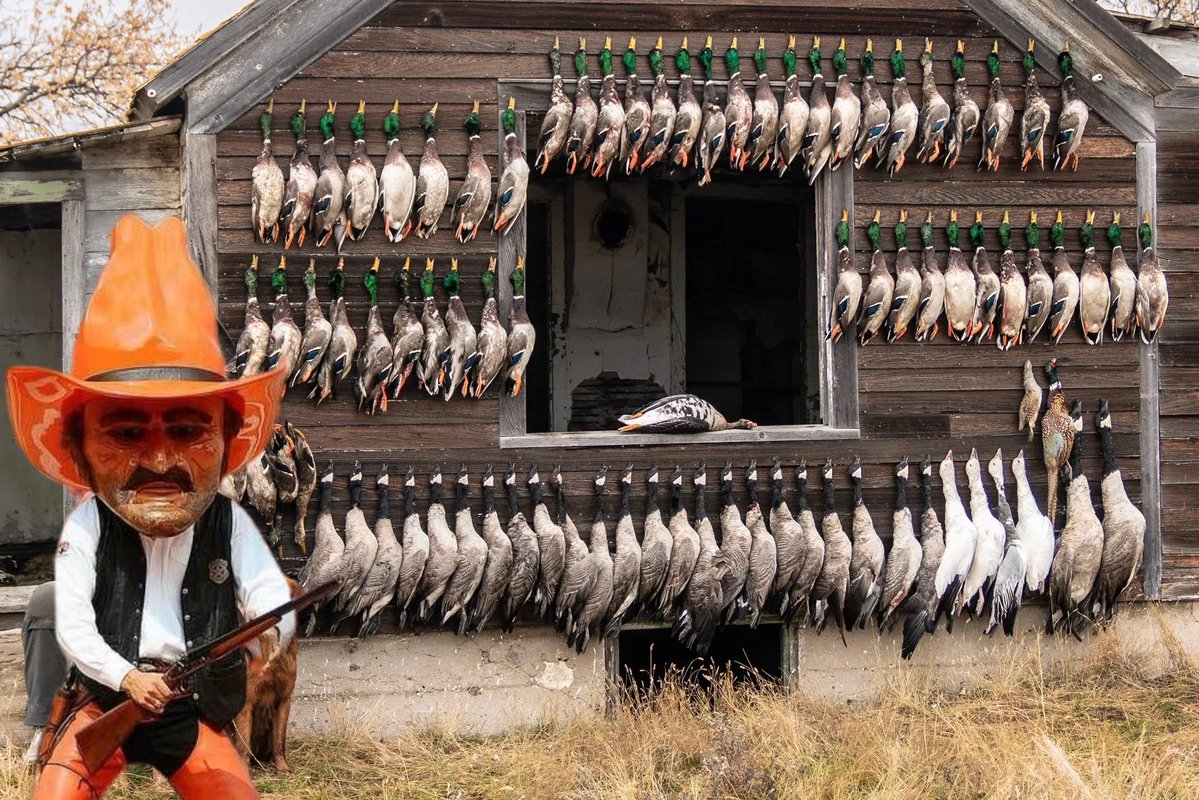 PardonMyTake's tweet photo. Oklahoma State takes down Oregon https://t.co/QWekm2GYmy