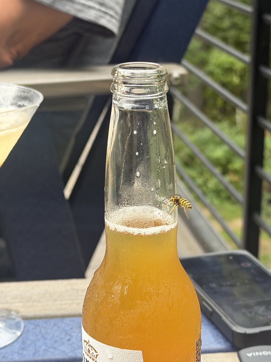 notearth2meg's tweet photo. All good man take my corona 🚶 https://t.co/HT4BhKoqJd