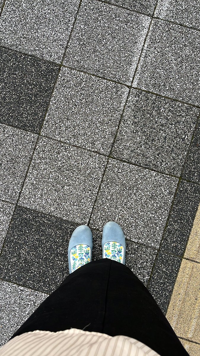 emi1102taso's tweet photo. って思ったけど、産院にいるときは学会動画見てたし、キャリアがうんちゃらかんちゃらだったから、単に慣れないことやりたくないだけ成人すぎる。とりあえずとんがり靴も文句も感傷もやめて行くだけ行く星人。 https://t.co/41gDZ90iff