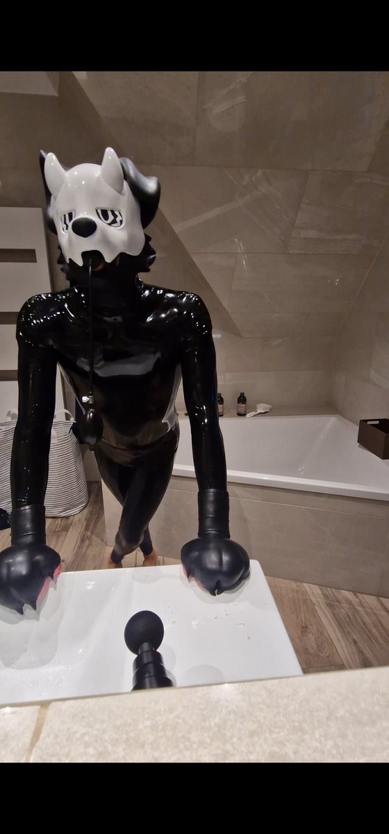 SquakyOllie's tweet photo. Shinyboi hitting them poses while getting some vibes inside ��� but still got too much freedom of movement... Who's gonna change that? 👀

Hood &amp; paws by @furrjoi01
Suit by @Latex_Forever

#furrjoi #latex #shinyboi https://t.co/zlwRwglRRZ