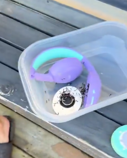 BigLargeSuper's tweet photo. @deeenchong @BasedZaku "throwing away the whole headset over a few bugs is dramatic." stfu onlyfans bot https://t.co/ucbGfjIHLo