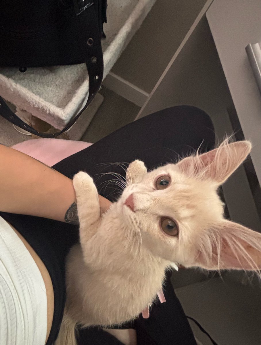swannpablo's tweet photo. he grew too fast (╥﹏╥) https://t.co/qZrVWJnGAY