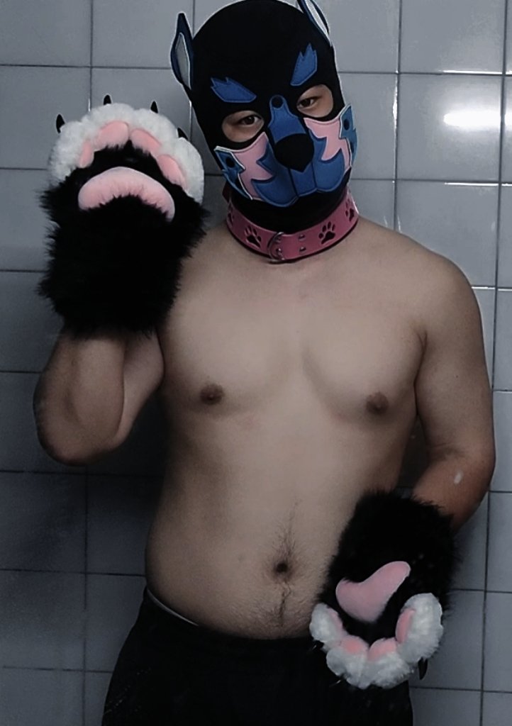 m93781082's tweet photo. 谁家的小狗，有需要认领的嘛😝
#熊m #puppy #rubber #反差 #人形犬 #骚狗 #0m https://t.co/d5cxbefLOd