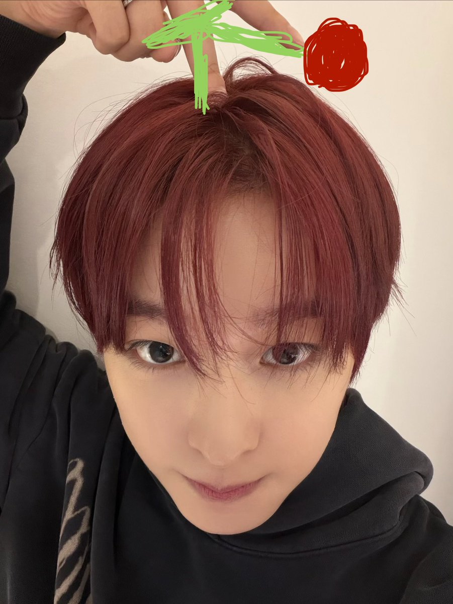 nonsorok's tweet photo. ㅁㅊ~~~ 체리커플 왔다 https://t.co/RNoj2Qke5r