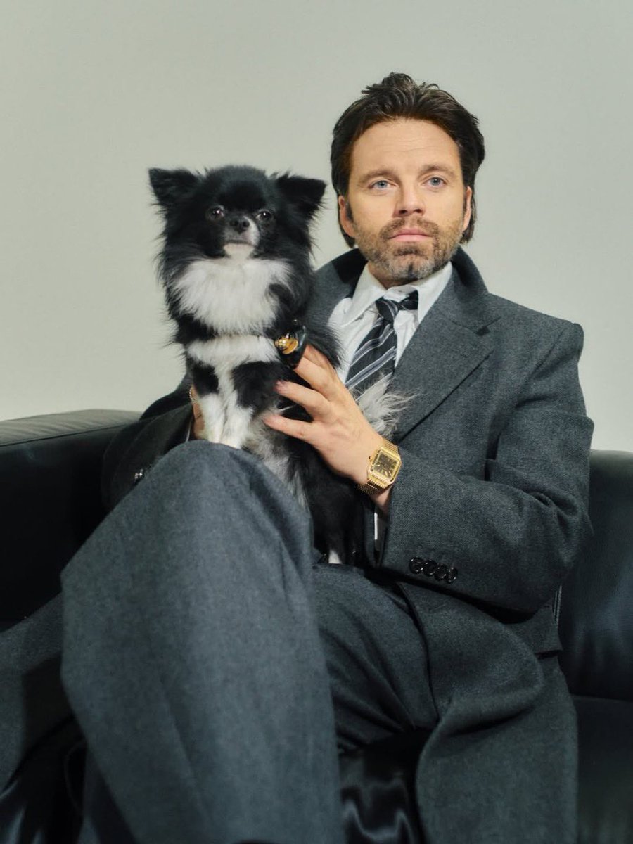 mackiesst4n's tweet photo. he’s copying the same expressions as these dogs 😭😭😭 https://t.co/4zzNo9dO6V