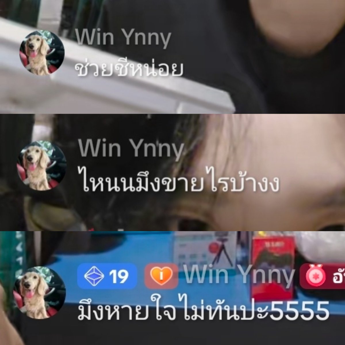 ecalost's tweet photo. วินนี่มาเม้นในไลฟ์พี่สาว

: ขายไรครับบ
: ขายก่อน
: มึงทำไรเนี่ย
: ช่วยชีหน่อย
: ไหนนมึงขายไรบ้างง
: มึงหายใจไม่ทันปะ5555

แล้วมีฟคถามพี่วินนี่สบายดีมั้ย ฮีเม้นตอบว่าสบายดีจ้า ช้านคิดถึงหนุ่มตี๋ที่สุดในโลก ㅜㅜㅜㅜㅜㅜㅜㅜㅜㅜㅜㅜㅜㅜ

#winynny https://t.co/emNoEzhC1O