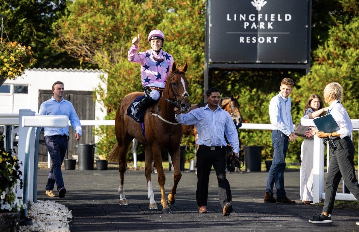 LingfieldPark's tweet photo. The Free Tips On https://t.co/NQ6j5tES9u Handicap (Class 6)(DIV II) 

🥇Royal County Glory

🥈Strong Voice

🥉Credit Forgedd It

Winning Jockey: @GeorgeWood20 
Winning Trainer: @JackJonesRacing 
Winning Owner: The Mammoth Pack Ltd 
📷:@dcoolimages https://t.co/woi8oEO4NW