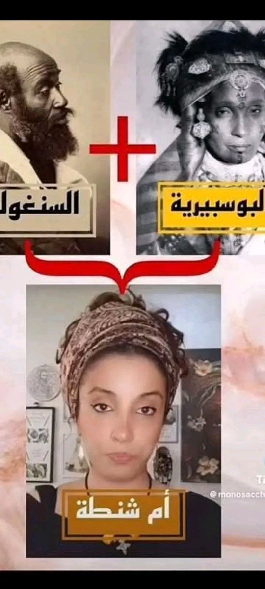 ChaibFaiza's tweet photo. @AChougui30749 @KlMouna29117 @saad_uko نعم يا السنغولية نطفة زريبة الليوطي مملكة بوسبير 😂 https://t.co/2PNeic31MI