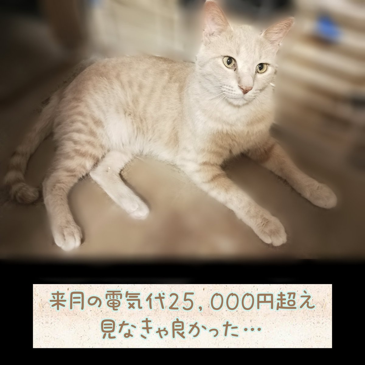 c_houkai's tweet photo. https://t.co/JJMbyVSB6S