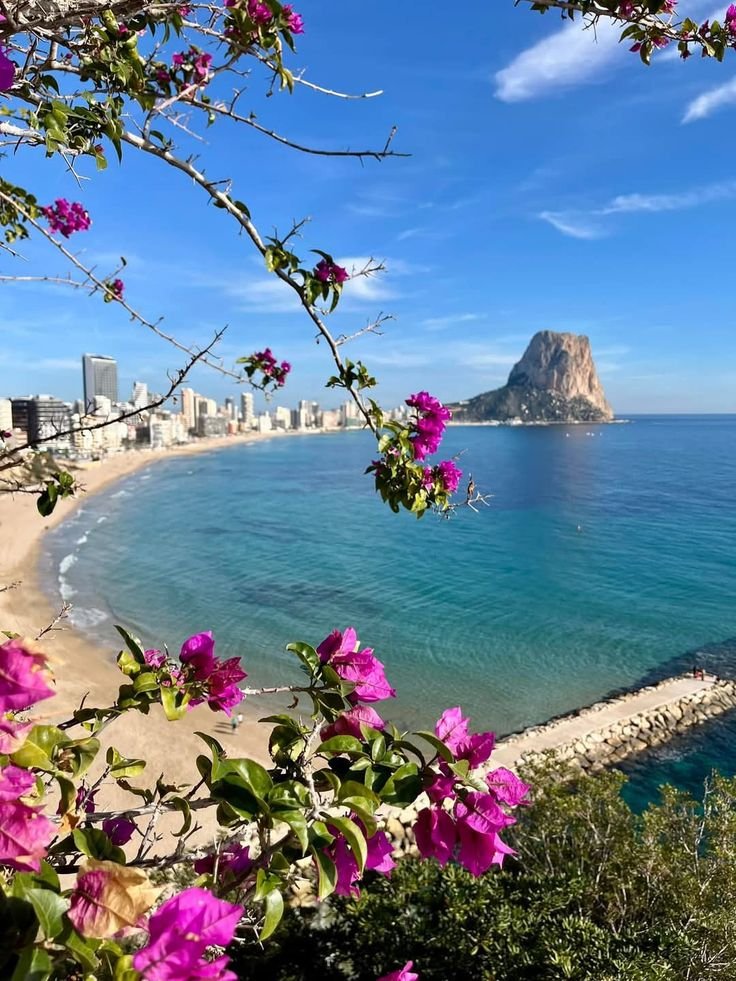 rainbowhorizont's tweet photo. 2. Ferran x Calpe
esa alegría que se contagia y esa confianza que hace que todo parezca fácil. un poco como Calpe: sol, mar y esa sensación de estar justo donde quieres estar. https://t.co/BnyjZX72Be