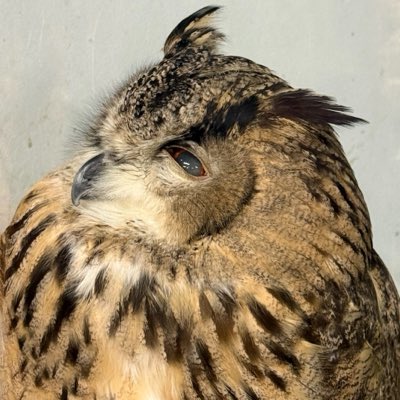 bulkmake2's tweet photo. #新しいプロフィール画像 https://t.co/KUzA4ZsgVM
