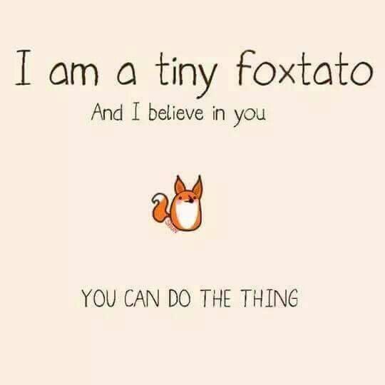F0xXWild's tweet photo. I am a tiny Foxtato 🦊🦊🦊 https://t.co/REx90gOeMm