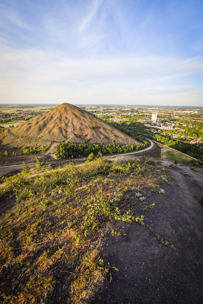 pasdecalais62's tweet photo. ⛰️Préparez-vous à retenir votre souffle !💨Le 20.09 - Base 11/19 de Loos-en-Gohelle avec Culture Commune. 
A 16h, Tatiana Mosio-Bongonga de la Cie Basinga  reliera les deux sommets sur un fil tendu à 186 m de haut. 
ℹ️https://t.co/UJkpIhZLe1 
📷 : A. Repessé - Y.Cadart / CD62 https://t.co/XVVgnToz8Q