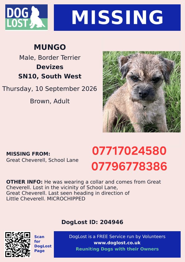 MissingPetsGB's tweet photo. 🐕 Great Cheverell #Devizes #Wiltshire #SN10

#borderterrier MUNGO has gone missing 10 September 2026 in the vicinity of School Lane. 

He was wearing a collar and was last seen heading in direction of Little Cheverell.

Mungo is chipped. If sighted or found, please contact asap https://t.co/DfnMvrHxEx