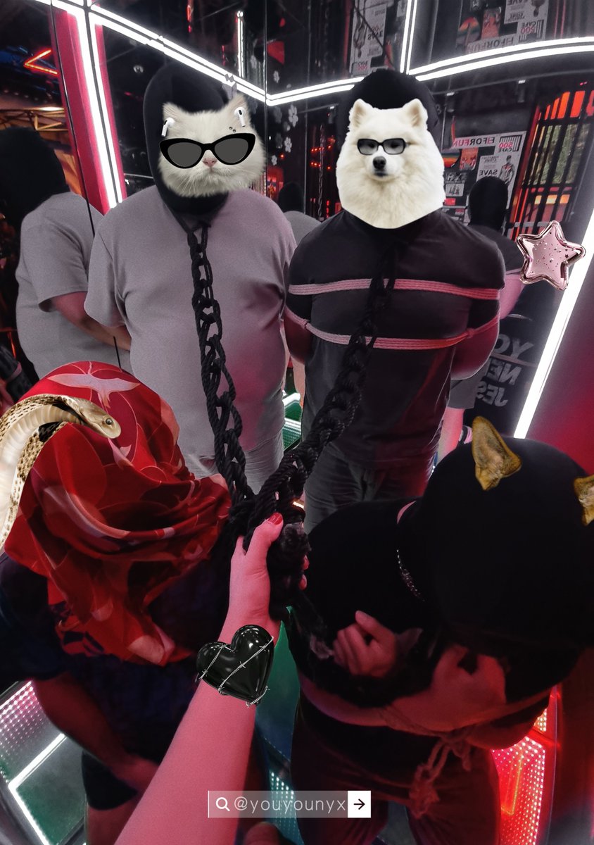 youyounyx's tweet photo. ��ันนี้ลวงคนมามัด 4 คน 🪢✨️
🐈 : @Maomao_u56 
🐍 : @thanphan099 
🦮🐕‍🦺 : @N_Shibari @slave223asss 
🎪 : @500cafebangkok 

#shibariday https://t.co/qQ1lNwJbHS