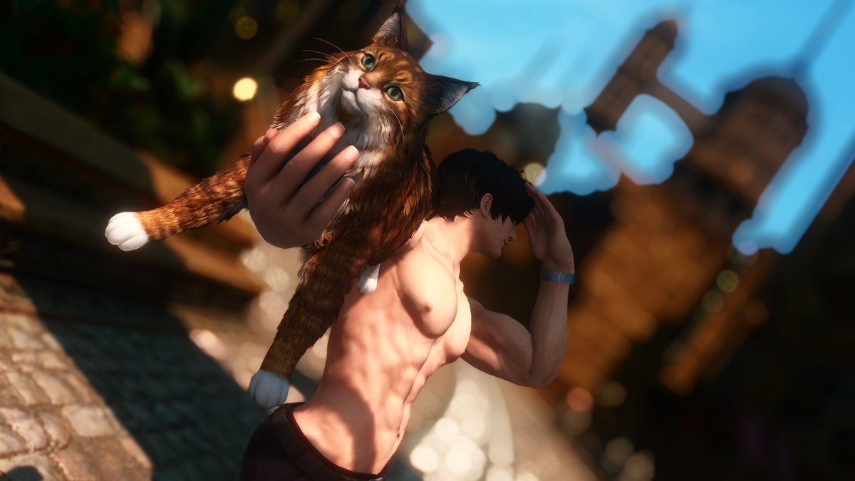 Artificer_Owl's tweet photo. I give you... The cat https://t.co/pd4U5QZ4qJ