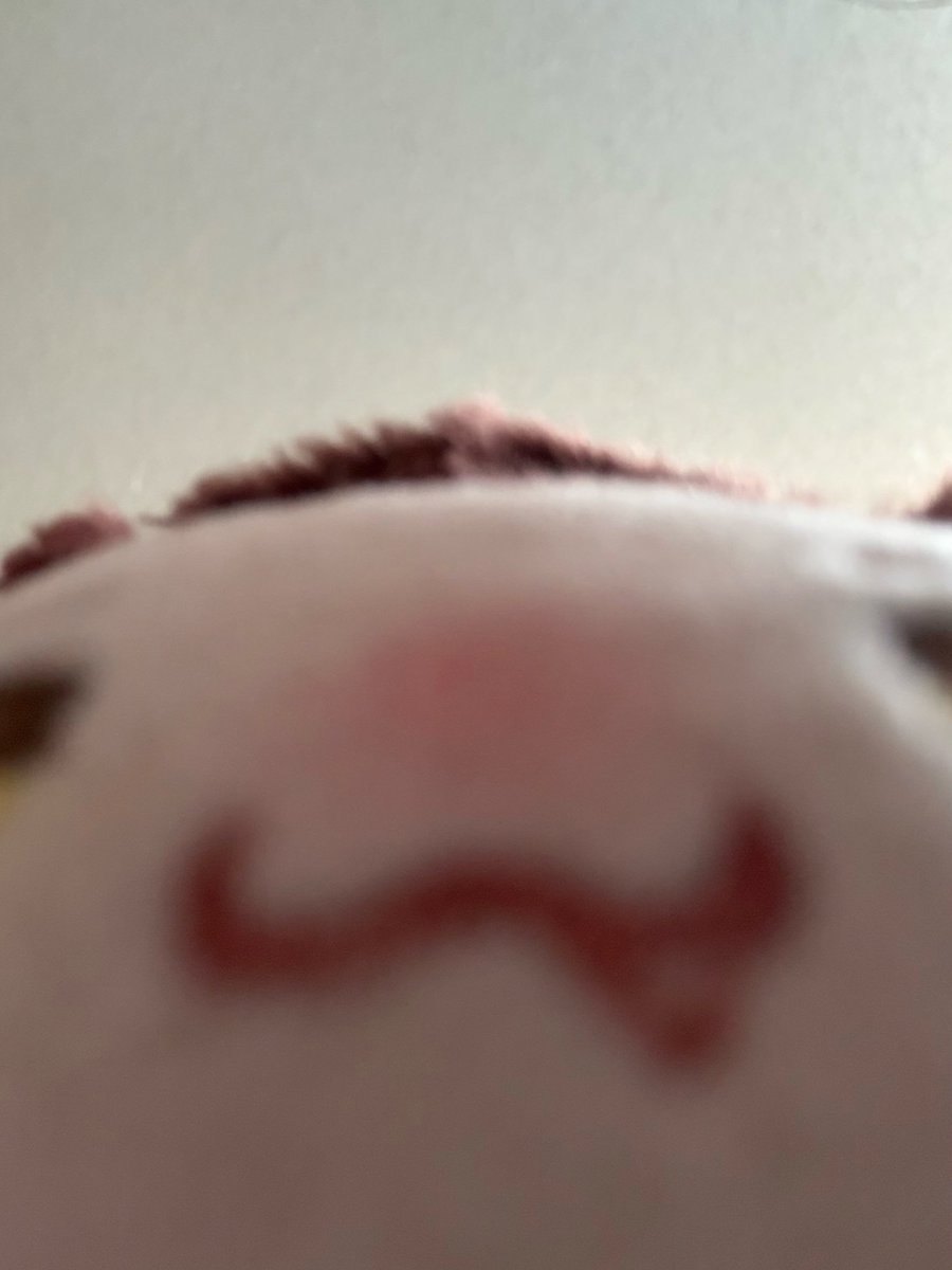 mintaddictxiii's tweet photo. *sniff sniff* Good morning! Are you awake? 🥰 It's wakey wakey time, pancake! 🥞 Let's get some yummy yummy breakfast. What do you want to eat today? I'll cook something for you 🥰 

#全世界都爱敖尹 #ValkoIsLoved #BringValkoBack https://t.co/JtZryGd9iU