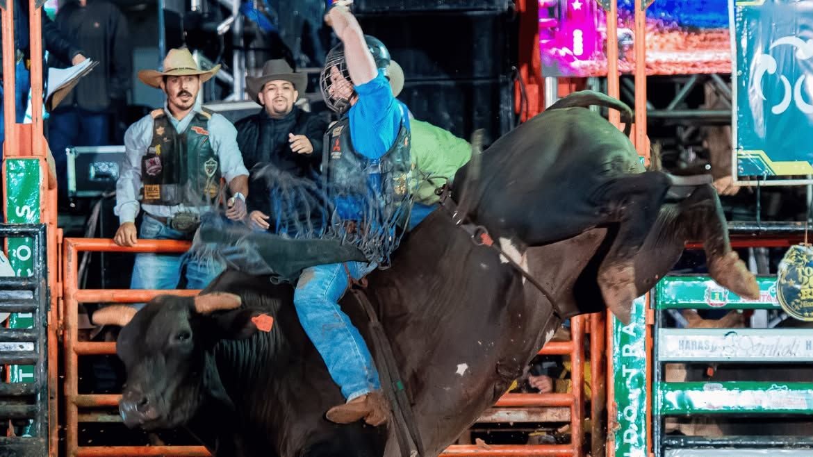 EugenioJose's tweet photo. Rafael Otávio domina a 1ª noite em Santa Adélia, Touro Gladiador lidera entre os animais 
Confira - https://t.co/v8MofJjiFs https://t.co/Cw6hIUN8Ew