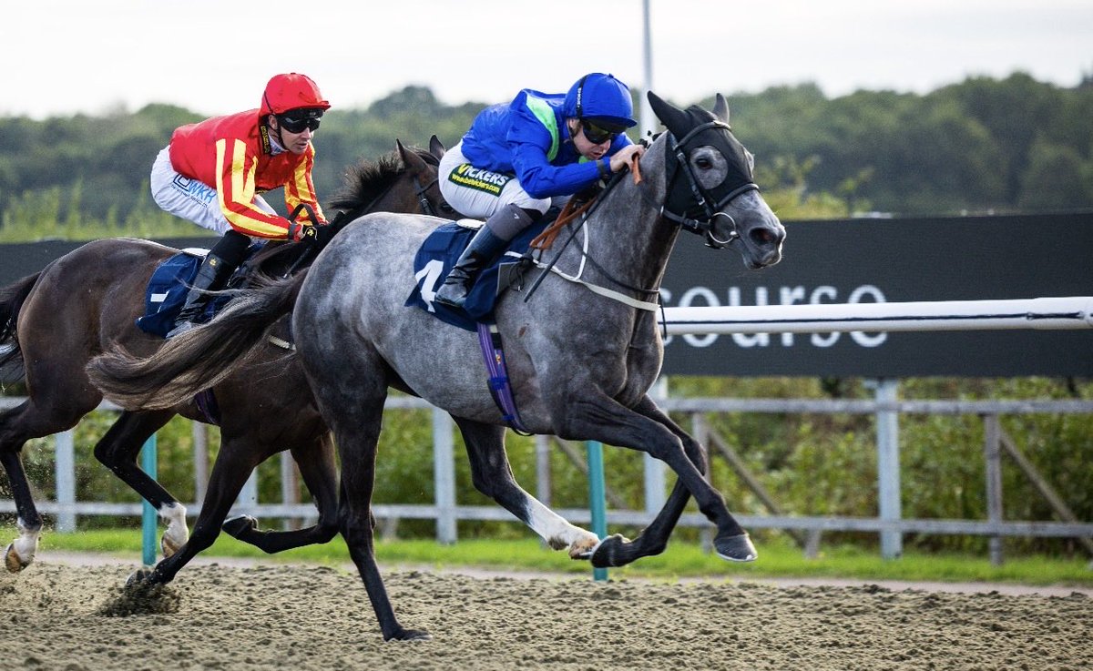 LingfieldPark's tweet photo. The Fountain Workshop Celebration Fillies' Handicap (Class 5)  

🥇Espanita

🥈Sunshine And Roses

🥉Lovers Leap

Winning Jockey: @connorbeasley9 
Winning Trainer: @Johnston_Racing 
Winning Owner: Kingsley Park 41 
📷:@dcoolimages https://t.co/RVWOjUJ4Ei