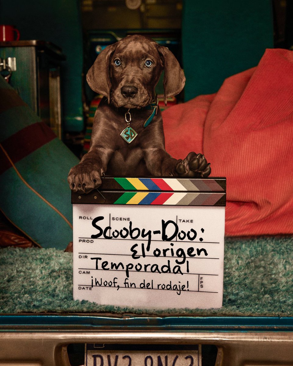 NetflixLAT's tweet photo. ¡Scooby y sus amigos metiches al fin pueden tomarse un descanso de desenmascarar monstruos! 🐕🔍 Terminó oficialmente el rodaje de 'Scooby-Doo: El origen.' Nos vemos en 2027, solo en Netflix. https://t.co/aY8DW8SEke