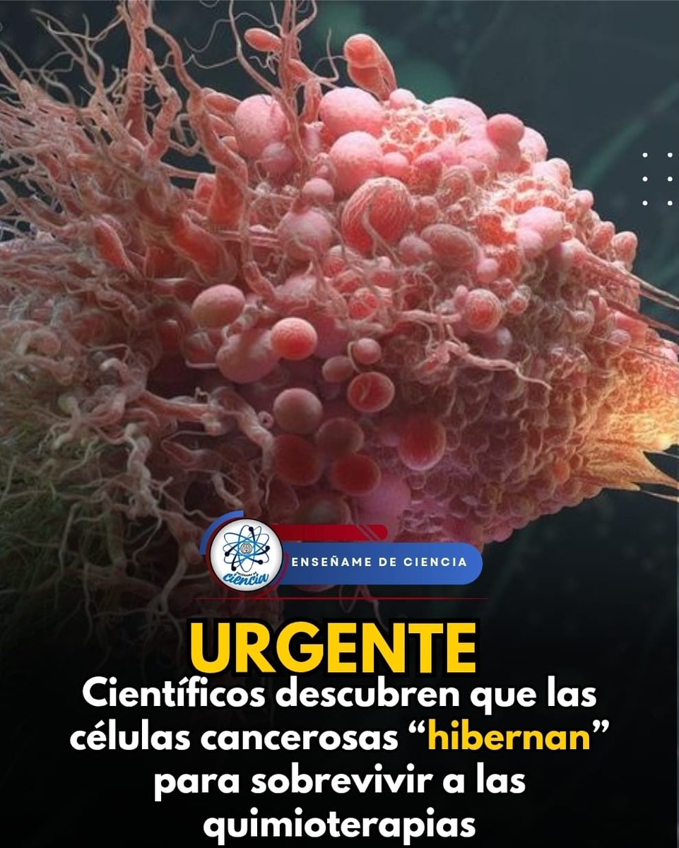 EnsedeCiencia's tweet photo. Esto fue descubierto por investigadores canadienses y el estudio fue publicado en la revista Cell. En él, se menciona que las células cancerosas son capaces de entrar a un estado de persistencia tolerante a fármacos, el cual es reversible y con ello, pueden evadir la muerte a causa de las quimioterapias y otros fármacos.