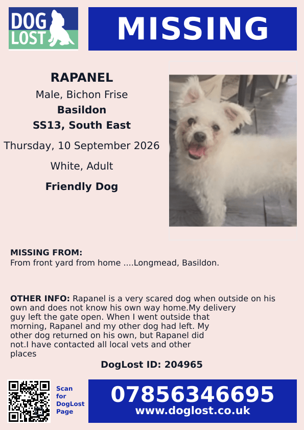 millypod1's tweet photo. 🆘10 SEPT 2026 #Lost Rapanel #ScanMe
Bichon Frise Male
From front yard from home #Longmead #Basildon #Essex #SS13
https://t.co/ux2jDYit2C https://t.co/KpICOowMHF