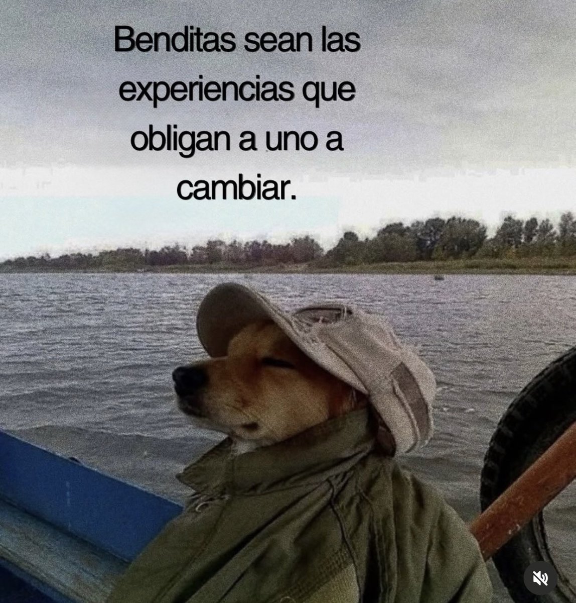 DiloConPerritos's tweet photo. https://t.co/1wlvzvbzJH
