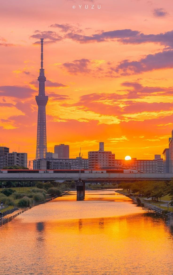 MichaelKrapmtj's tweet photo. 在宅ワークの背景バレ、何であんなに気になるんだろう。
家族もペットも背景に映り込む仕様、完全に運営側の策略だよね。 https://t.co/fZmWv474Kx
