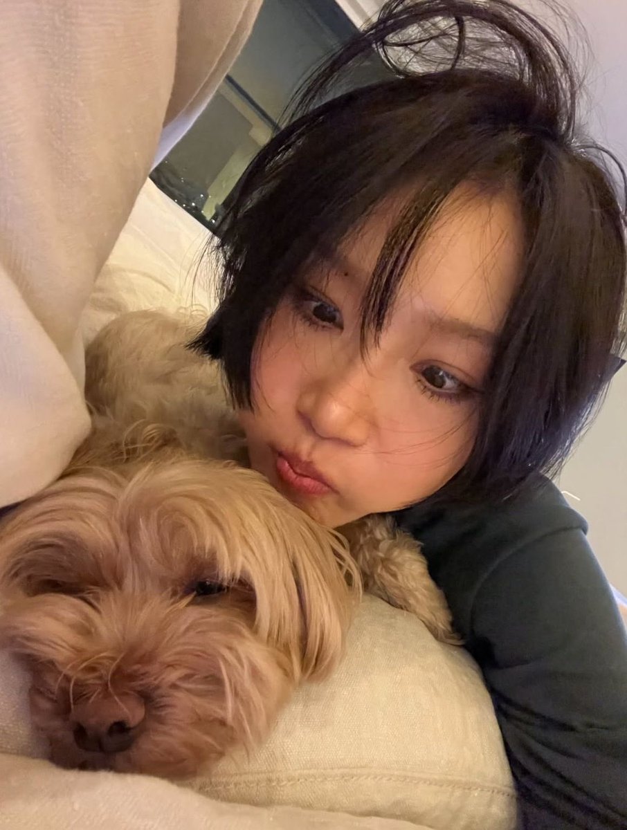 stagepopbr's tweet photo. A cachorra da HWASA se chama Cuzinho (Ddonggo/Ttonggo), em coreano. https://t.co/UTUj2eLC2Q