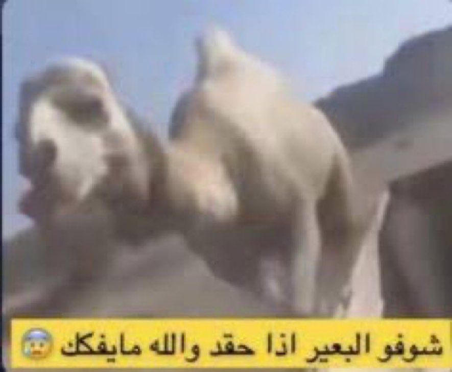 cloriiii's tweet photo. ذي خمستكم يالتعاون رجعناها لكم بسته لا تحسبون نسينا https://t.co/1mpRMytTqd