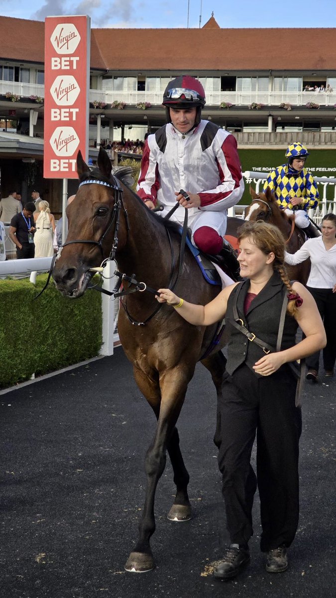 ValueRacingClub's tweet photo. Nibras Gold wins the Jump Jockeys Challenge @ChesterRaces under a brilliant front running ride from @JohnnyBurke2. Top job @JPOwenRacing 

Nibras is coming towards the end of his racing career, he’s been the most brilliant horse. In 27 runs for his owners, Nibras Gold has been in the winners enclosure 22 times! Incredible record. ❤️🐎❤️