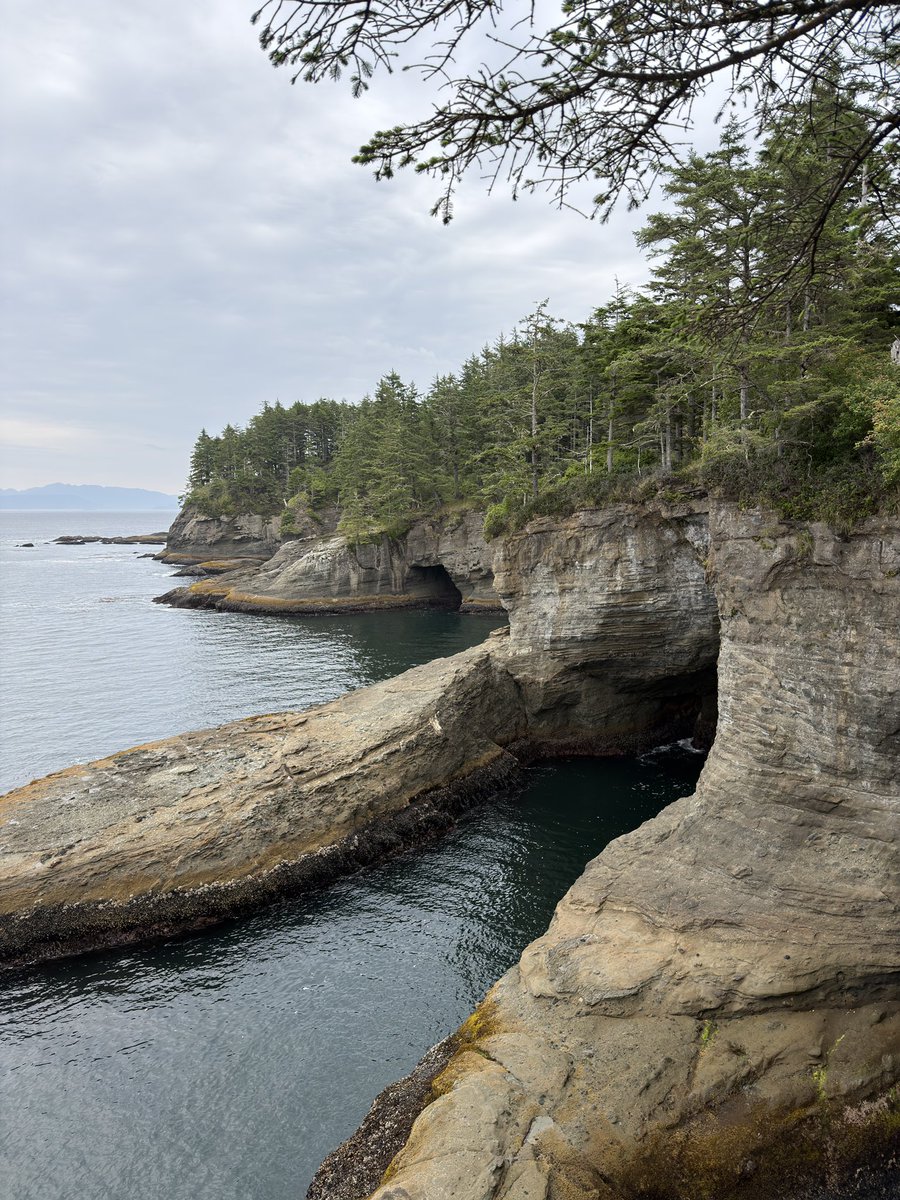 brianovak's tweet photo. cape flattery https://t.co/wqAiElYtJy