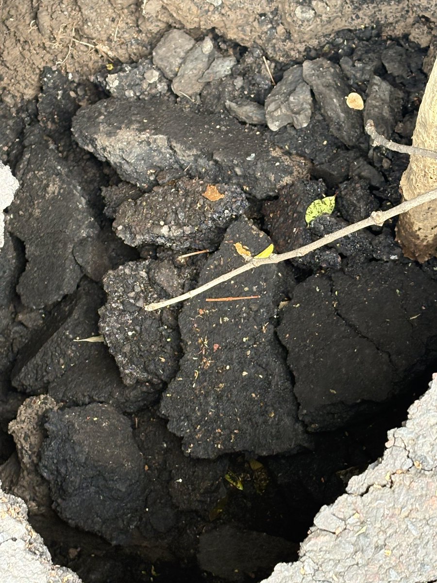AzucenaY's tweet photo. @BJAlcaldia @LuisMendozaBJ @AaoOperacion  socavón en Palenque 126 de escucha agua corriendo por favor apoyo https://t.co/dUeOt9Q9Dq