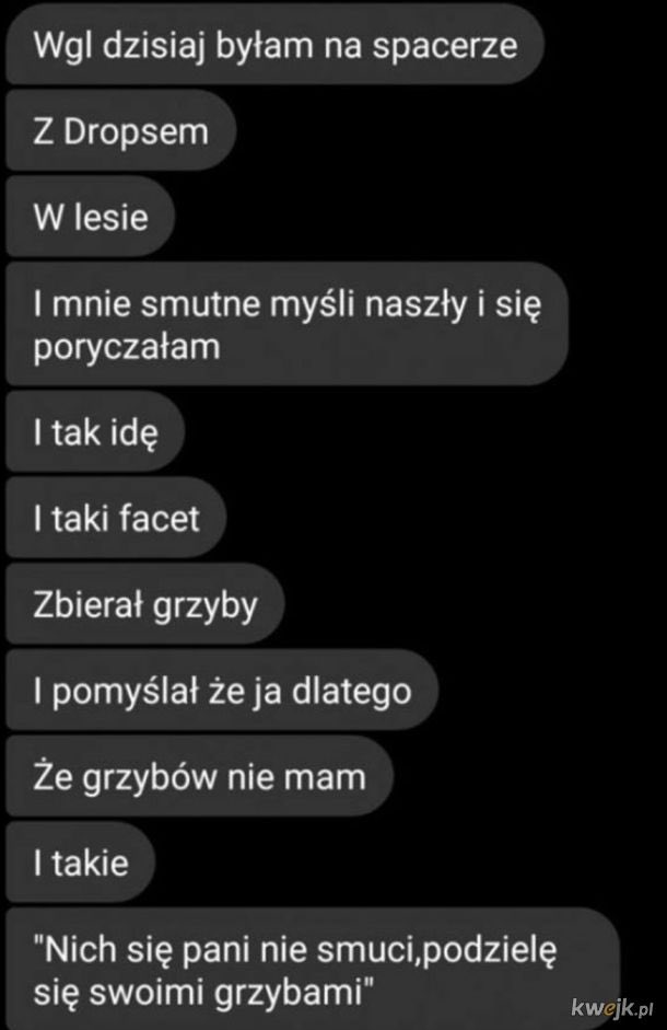 Kerwinioo's tweet photo. Jako grzybiarz potwierdzam XD https://t.co/6jvYYJUWll