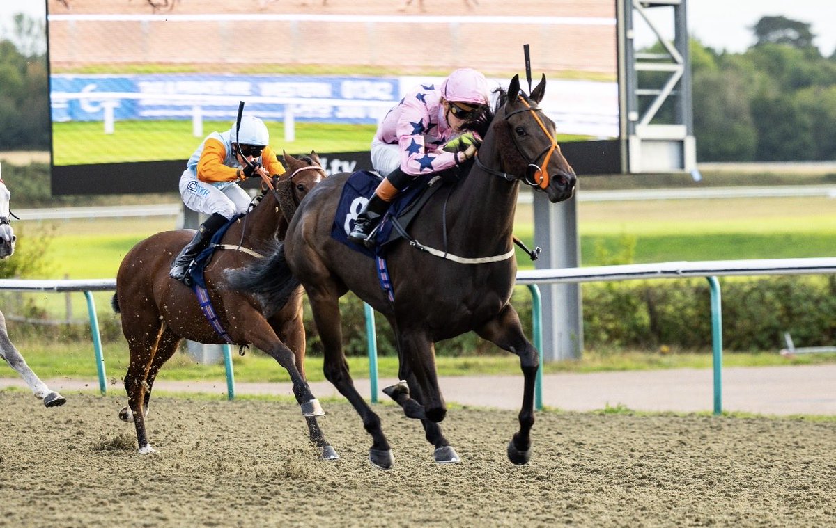 LingfieldPark's tweet photo. The Follow @attheraces On X Handicap (Class 6)

🥇Iconic Dawn

🥈Alashos 

🥉Henry Tudor

Winning Jockey: @daviesharry_ 
Winning Trainer: @Summerdown1997 
Winning Owner: Caveat Emptor Partnership
📷:@dcoolimages https://t.co/uboik6l79N