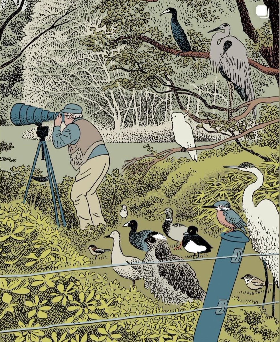 marysia_cc's tweet photo. Tsuchika Nishimura
bird watching https://t.co/h6cs3nNM79